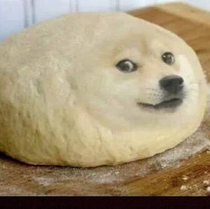 Meet your Posher, Kai